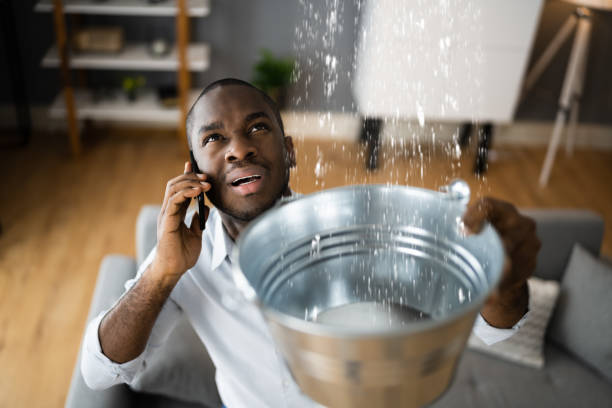 Best Carpet water damage restoration  in Indian Springs Village, AL