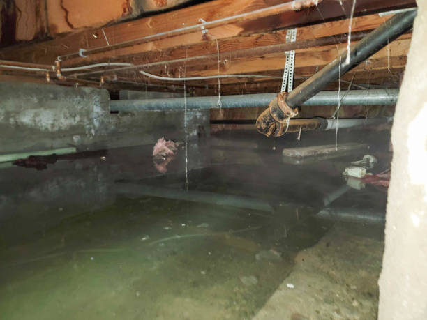 Best Professional water damage repair  in Indian Springs Village, AL