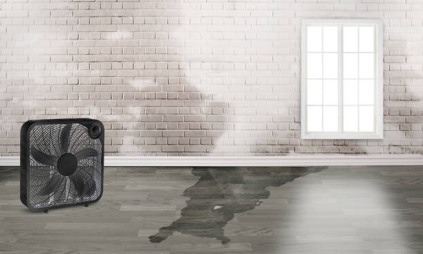  Indian Springs Village, AL Water damage restoration Pros